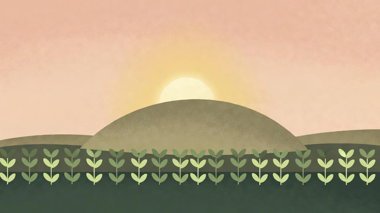 Illustrated sunrise over rolling hills